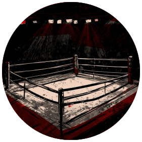 Custom Arena Dirty Boxing Championship